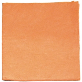 Hadr na podlahu Spontex PETR 70 × 60 cm